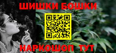 молекула духа Будённовск