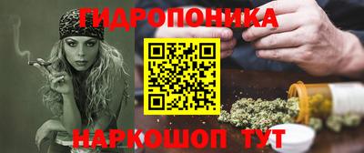 молекула духа Будённовск