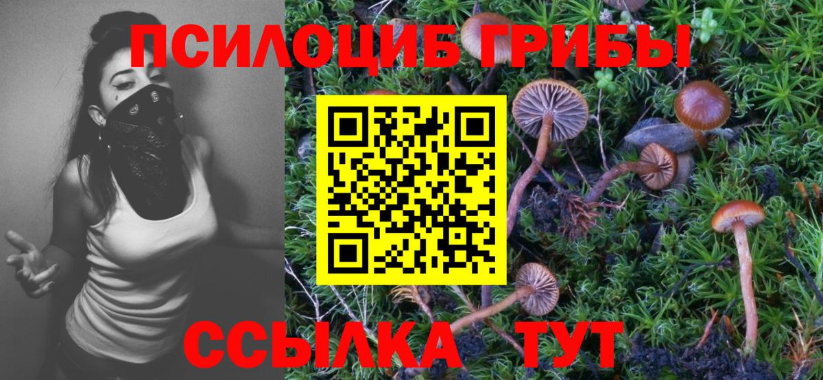 Новозыбков  Псилоцибиновые грибы прущие грибы  Галлюциногенные грибы ЛСД  Вход с VPN 