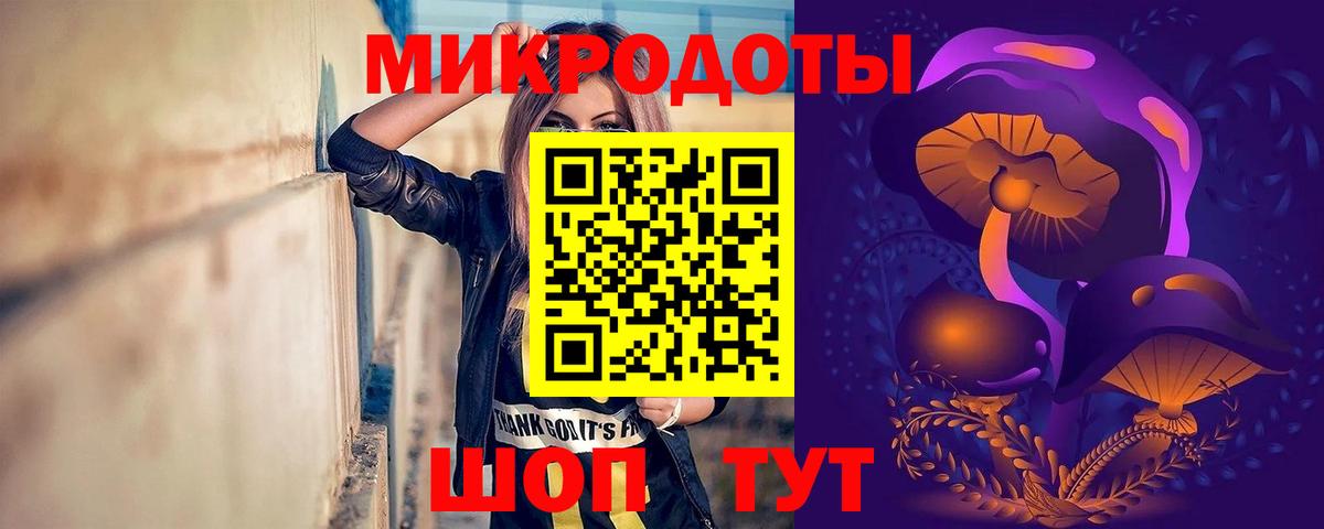 Псилоцибиновые грибы мицелий Новозыбков
